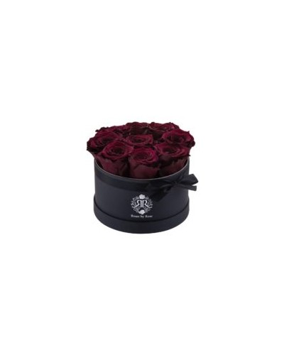 Burgundy - Longlife Roses