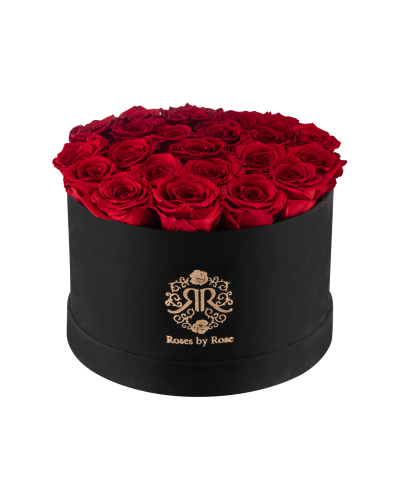 Velvet Black - Longlife Roses