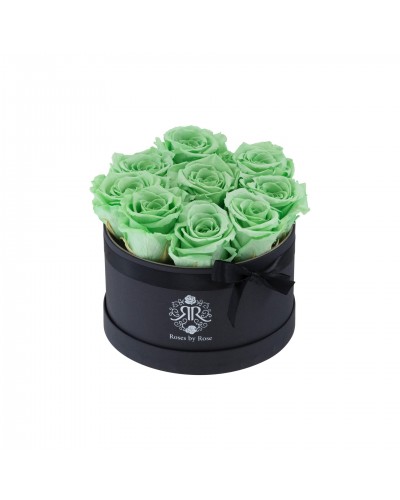 Mint - Longlife Roses
