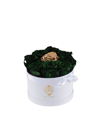 Green Sparkle - Longlife Roses