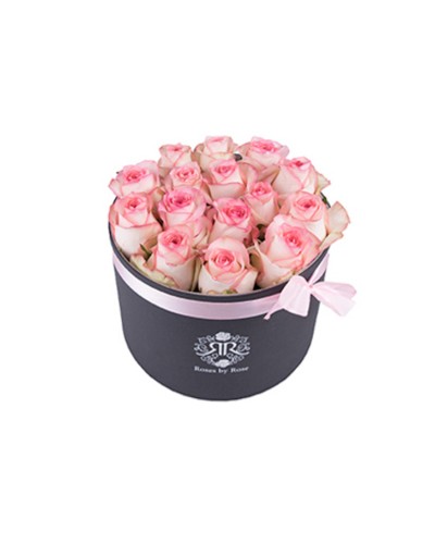 Pink Lady - Fresh Roses