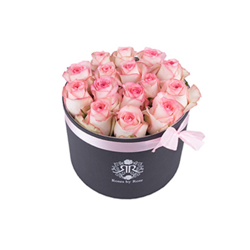 Pink Lady - Fresh Roses