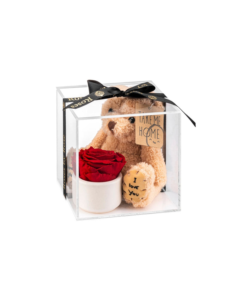 Teddy Roos (Longlife)