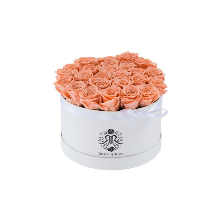 Longlife Rozenbox Perzik