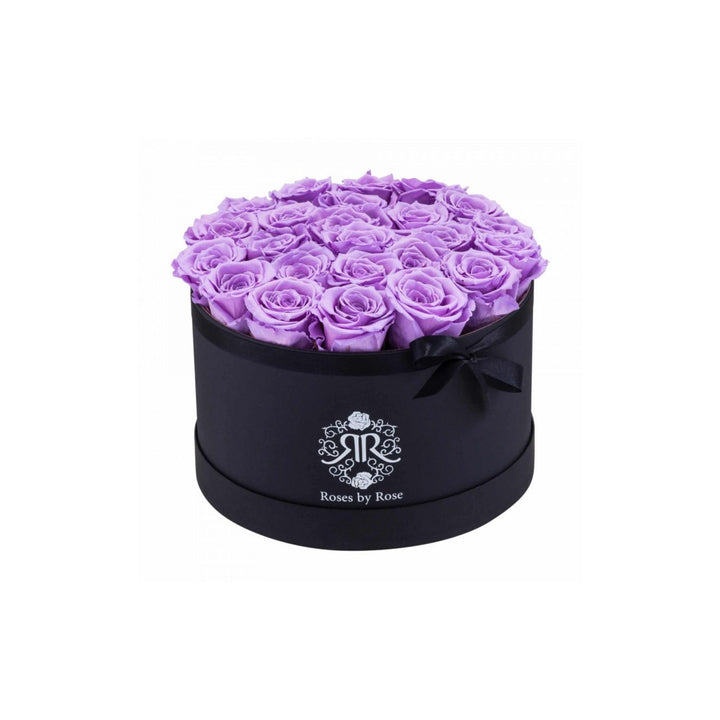Longlife Rozenbox Violet