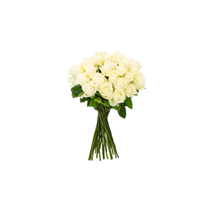 Just Roses Rozenboeket Wit
