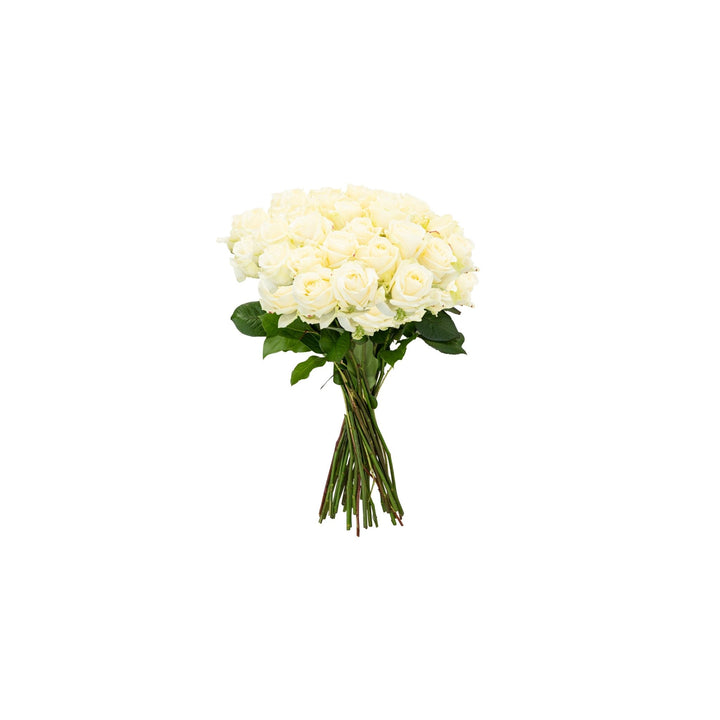 Just Roses Rozenboeket Wit