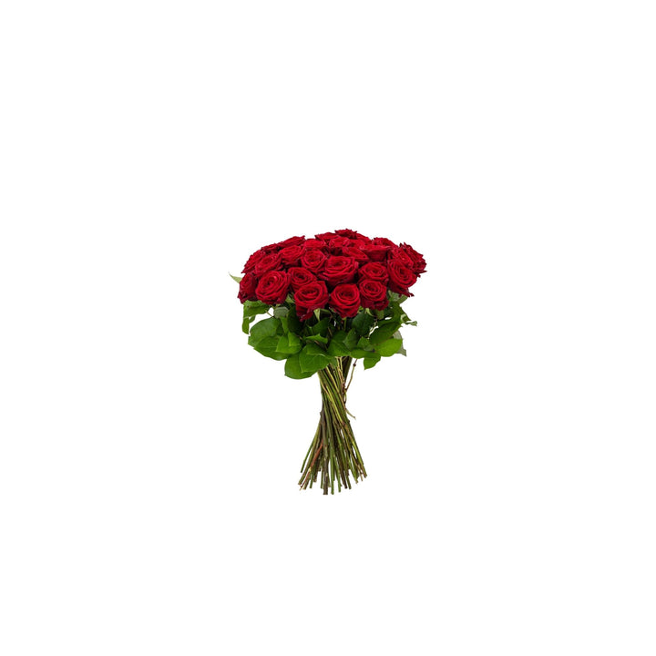 Just Roses Rozenboeket Rood