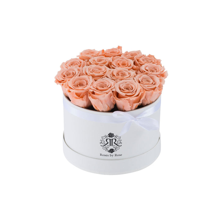 Longlife Rozenbox Perzik