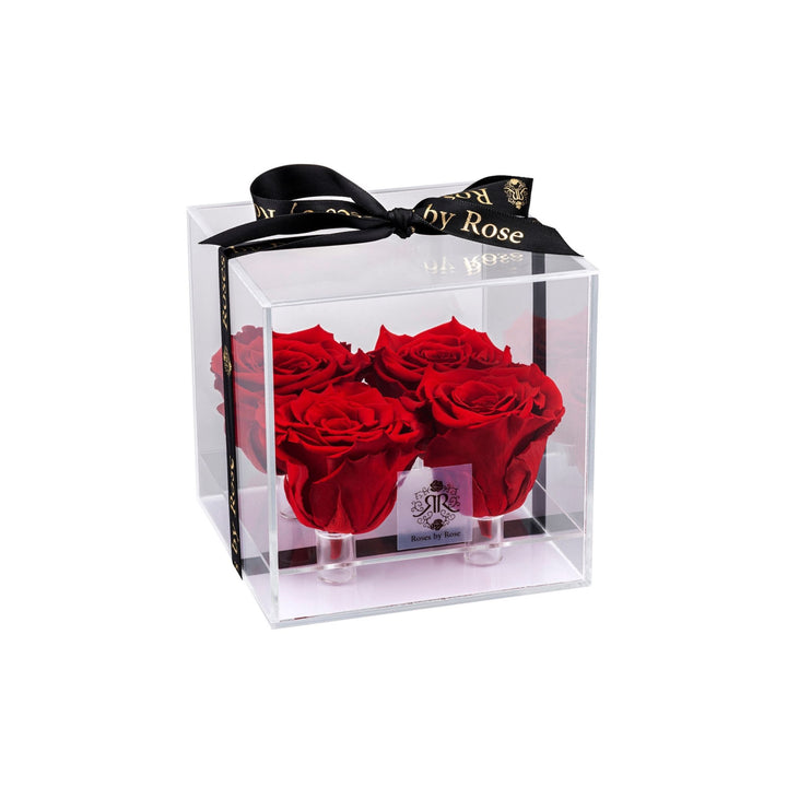 Acryldoos Met Longlife Roos