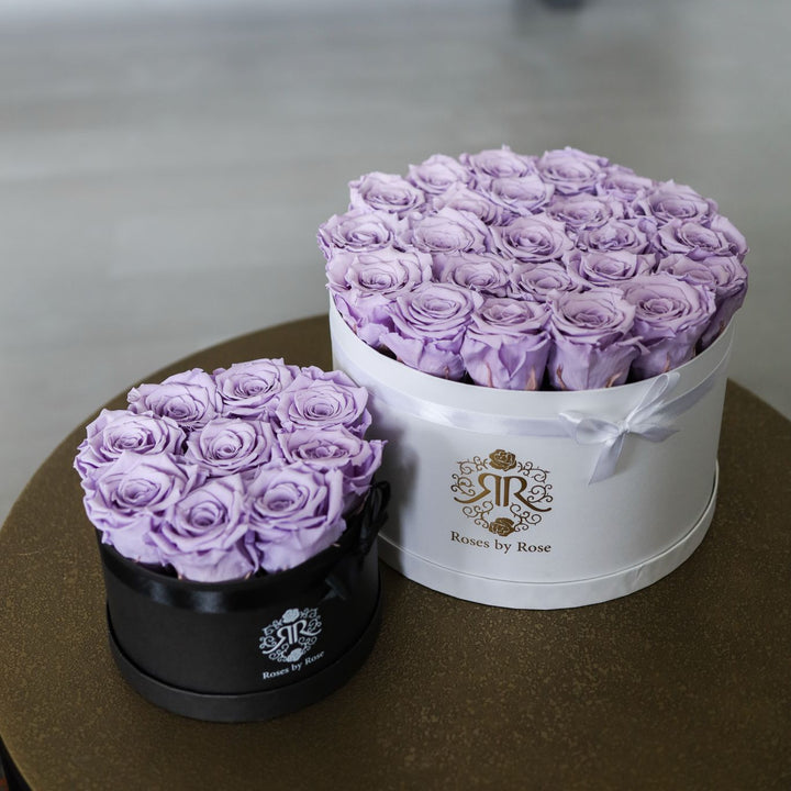 Longlife Rozenbox Violet