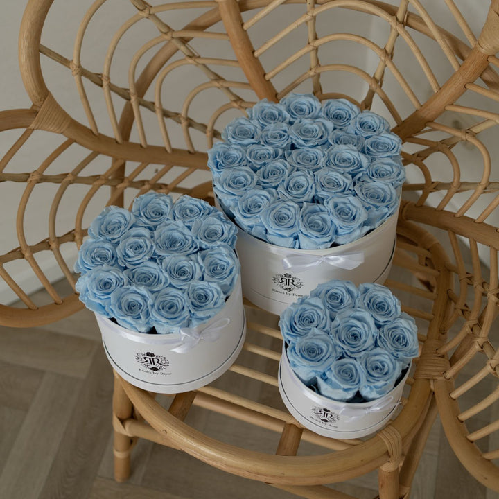 Longlife Rozenbox Blua