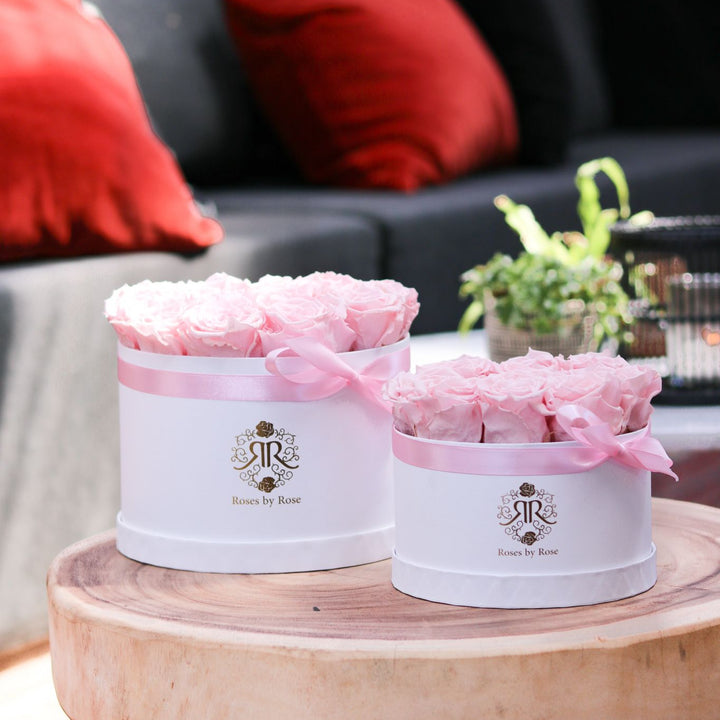 Longlife Rozenbox Cotton Candy (Roze Rozen)
