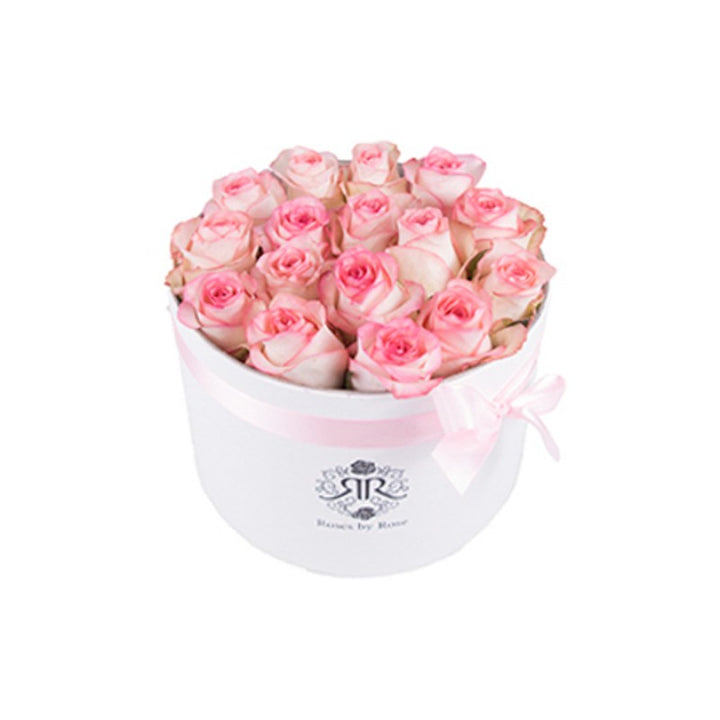 Verse Rozenbox Pink Lady