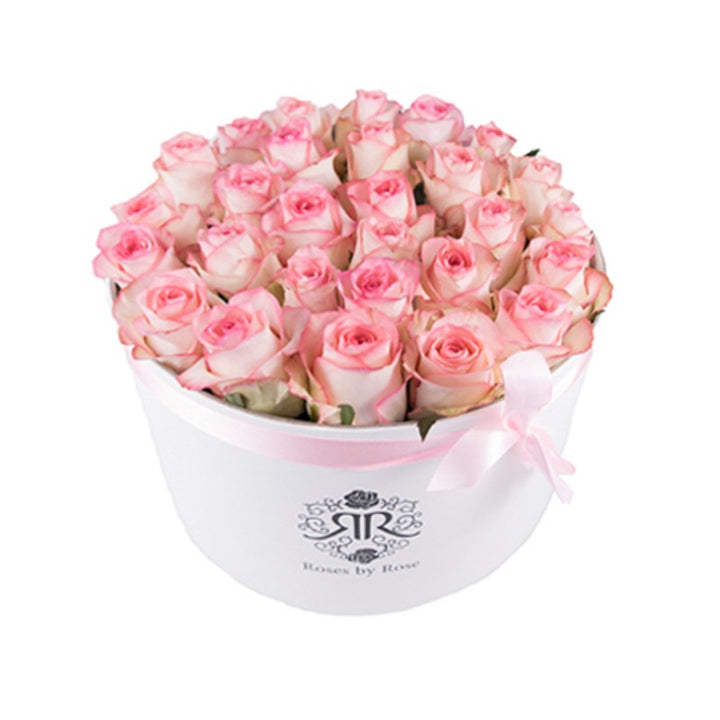 Verse Rozenbox Pink Lady